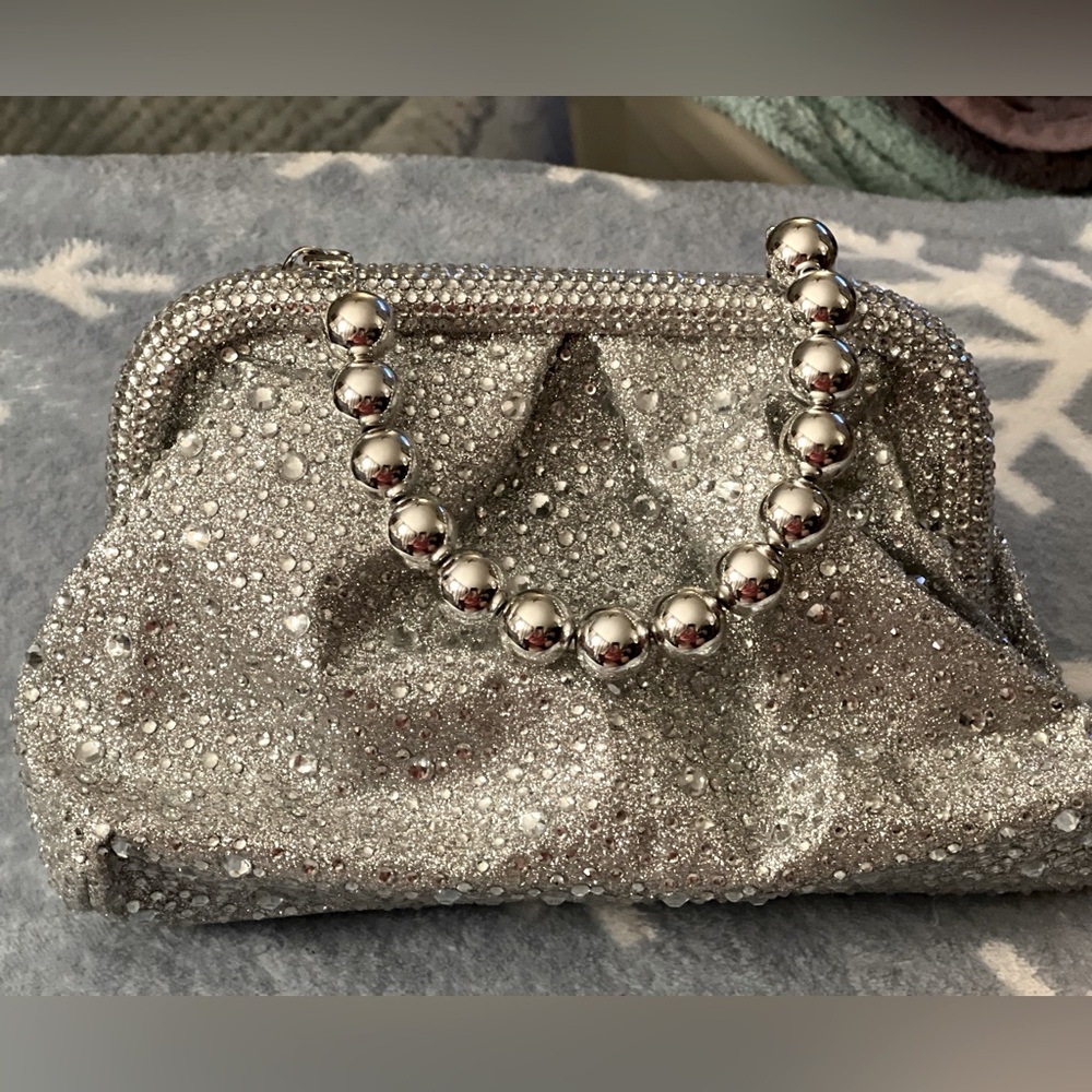 Beautiful NWOT silver evening bag